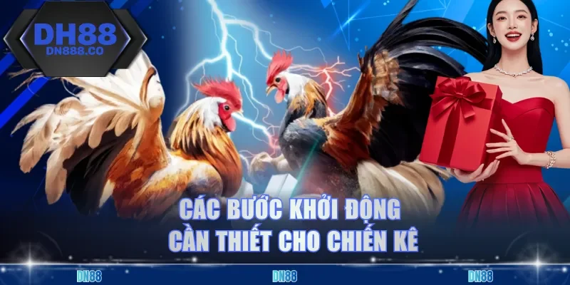 Các bước khởi động cần thiết cho chiến kê