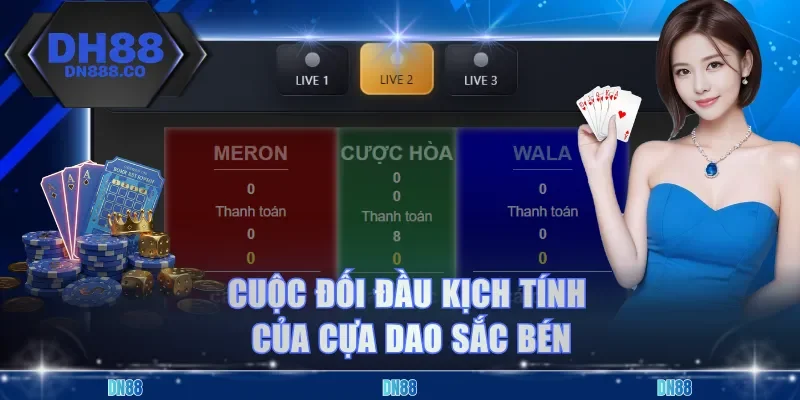 Cuộc đối đầu kịch tính của cựa dao sắc bén