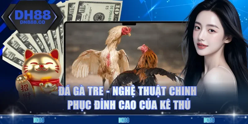 Đá Gà Tre - Nghệ Thuật Chinh Phục Đỉnh Cao Của Kê Thủ