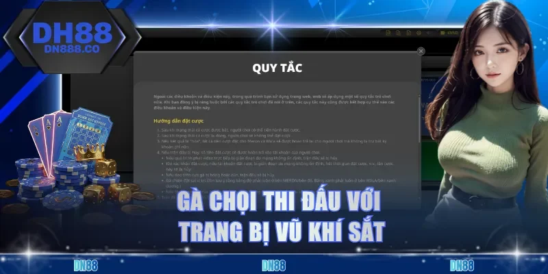 Gà chọi thi đấu với trang bị vũ khí sắt