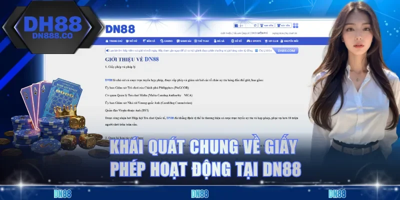 Khái quát chung về giấy phép hoạt động tại DN88