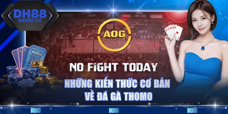 Những kiến thức cơ bản về đá gà Thomo