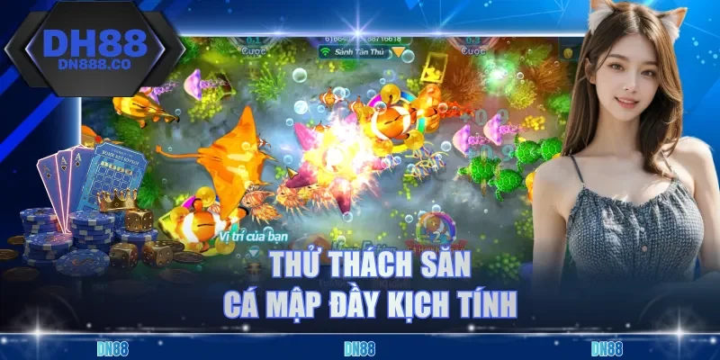 Thử thách săn cá mập đầy kịch tính