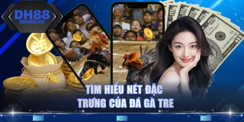 Tìm hiểu nét đặc trưng của đá gà tre